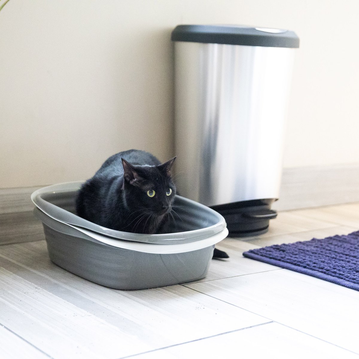 PetmateProducts's tweet image. Treated with @Microban to help protect against microorganisms.  The Arm and Hammer Litter pans are just one simple way that you can learn to love your litter box! #LYLB