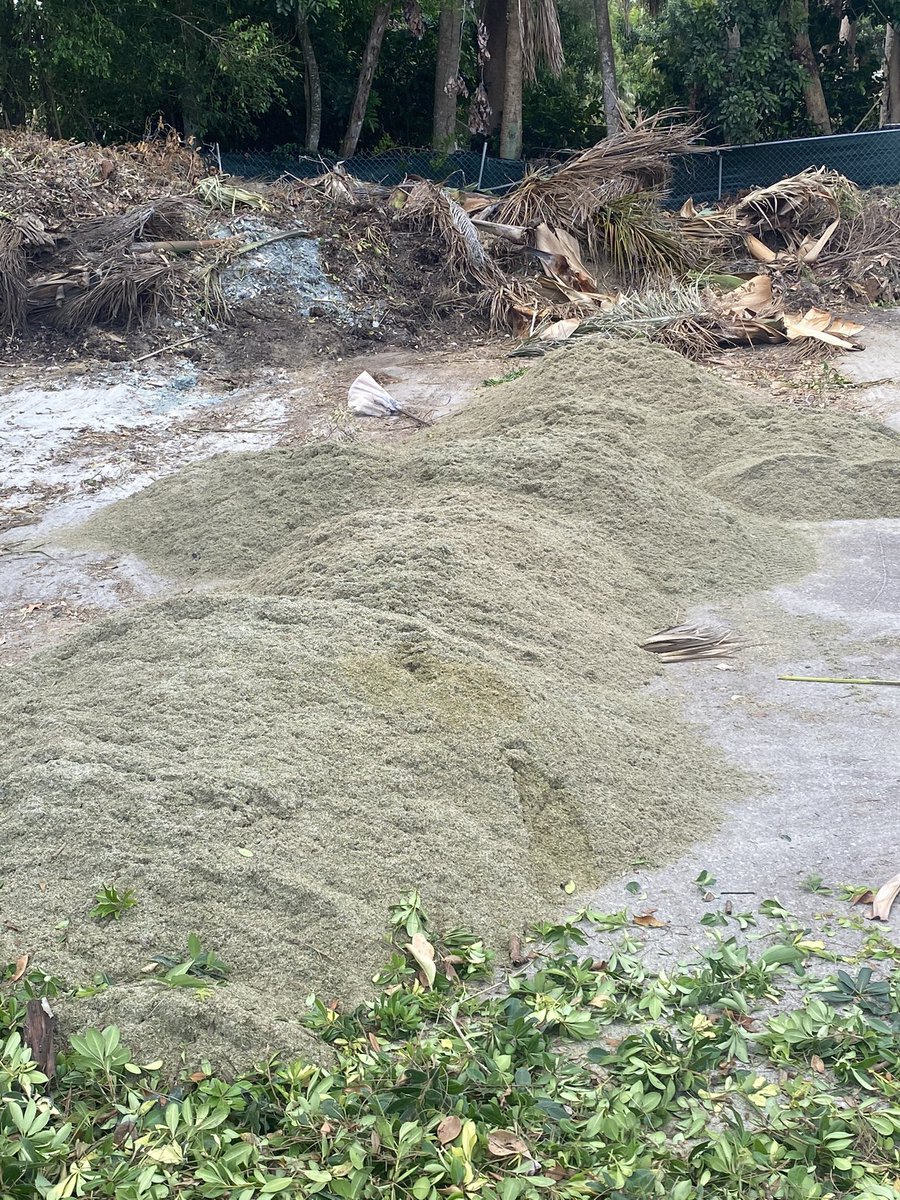 Not a bad haul on Verti Cut Tuesday!