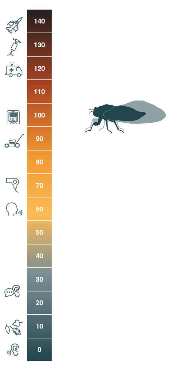 Jill Latchana tweet media