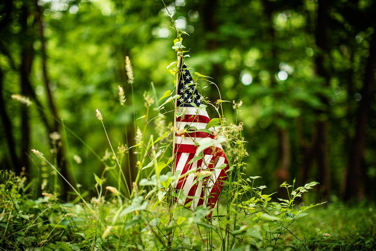 This is the work of <a href="/enrichmond/">Enrichmond</a> and <a href="/vofonline/">VAOutdoorsFoundation</a>. On Memorial Day, they are offering “a free meal” to veterans. That’s icing with no cake. What’s needed now isn’t lunch + photo op for politicians, it’s consistent care for East End and Evergreen. Our ancestors deserve better.