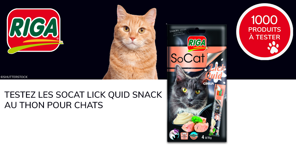 ConsoAnimo's tweet image. Vous n'avez plus que quelques heures pour tenter d'être sélectionné à notre nouveau test produit RIGA 😸

#consoanimo #testproduit #riga
consoanimo.com/test/lick-quid…