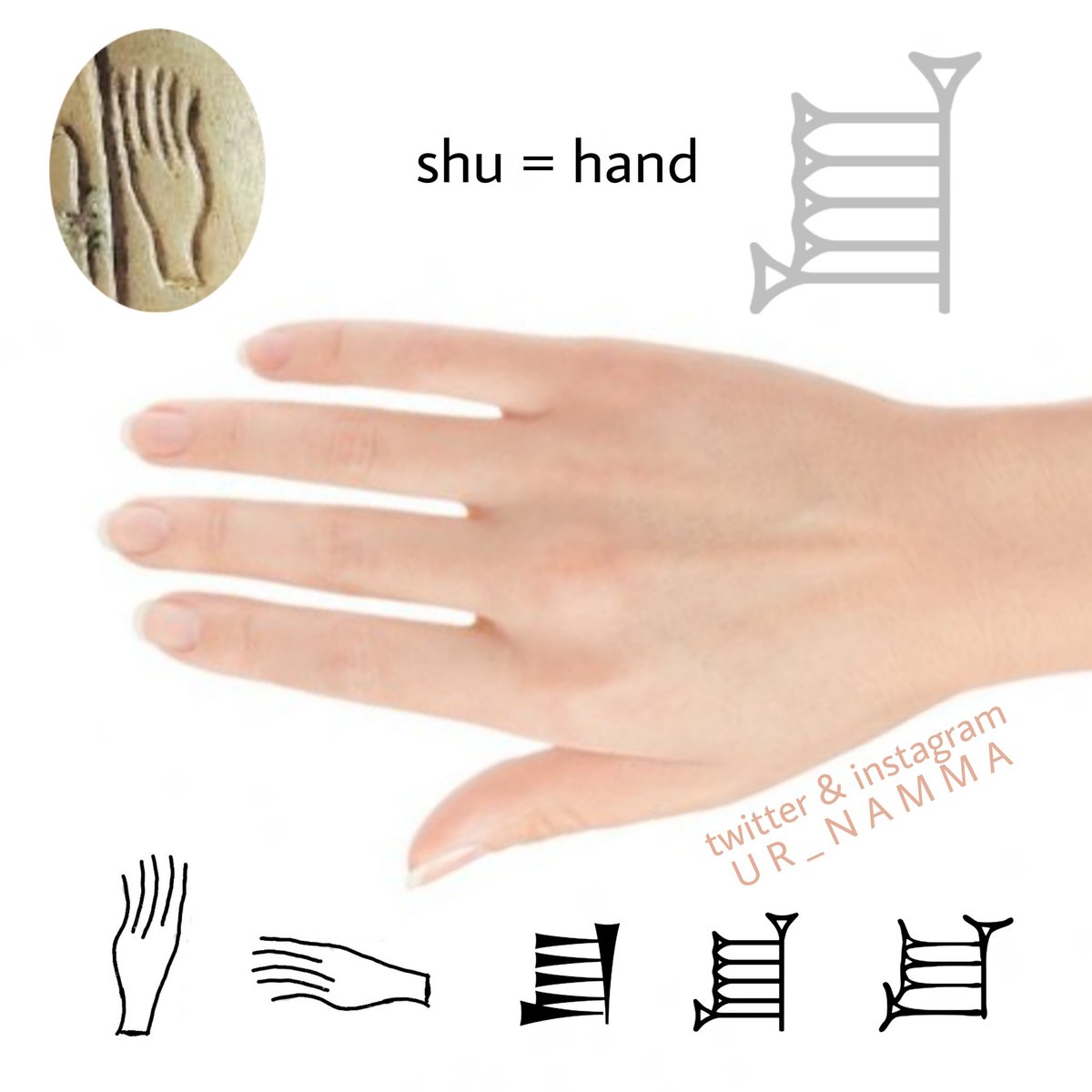 Ur_namma's tweet photo. ( 𒋗 )
The cuneiform sign ( šu→𒋗 )
means "hand" 🤚

Sign name: SHU
Sign value: šu

wr.
1- šu→𒋗
2- sum5→𒍧 = "(to be) poor; pauper"

(2785x: ED IIIa, ED IIIb, Ebla, Old Akkadian, Lagash II, Ur III, Early Old Babylonian, Old Babylonian, 1st millennium, unknown) https://t.co/I1rJqvLGvI
