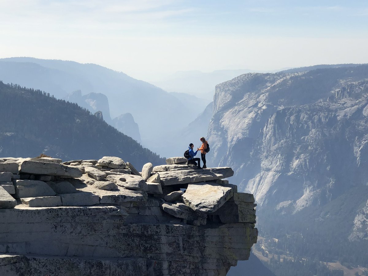 Dominic Elm tweet media