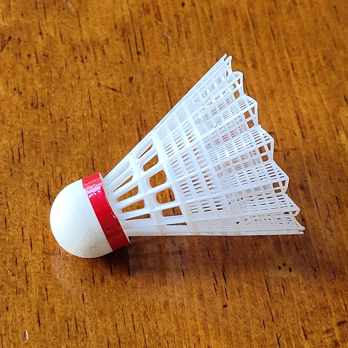 McLabKSU's tweet photo. Congratulations to @JacobCasey11 for being the first to correctly guess that the answer to this week's Microscopic Monday was a badminton birdie, also known as a shuttlecock!
#MicroscopicMonday https://t.co/pPDZEhNwRm
