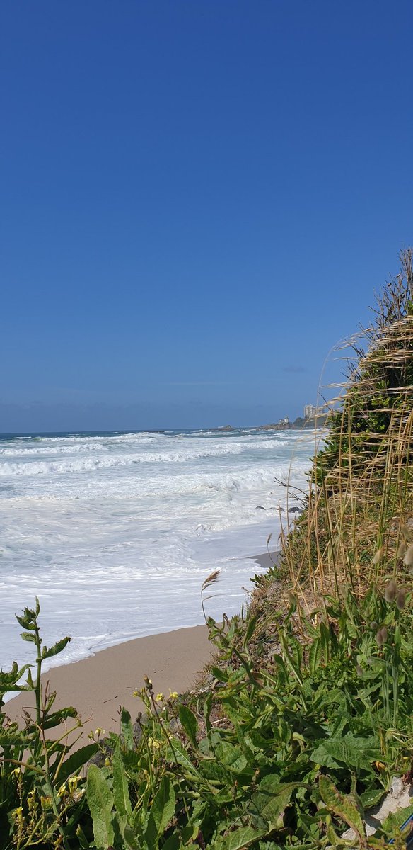 Helene75Mahalo's tweet photo. Si seulement ce temps pouvait rester un peu!!!😅
#biarritz #paysbasque #euskalherria #biarritztourisme #biarritzmaville #pyreneesatlantiques #ocean #meteo_pyrenees #So_tourisme #ocean https://t.co/eo5LcIp5zy
