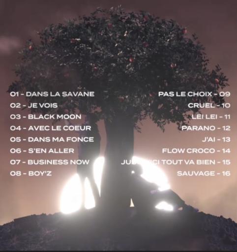 16x16.fr on Twitter: "#TRACKLIST : D&eacute;couvre la tracklist du projet "Double  star" de DTF &agrave; para&icirc;tre le 28 Mai ! @DTFtweet&hellip; "