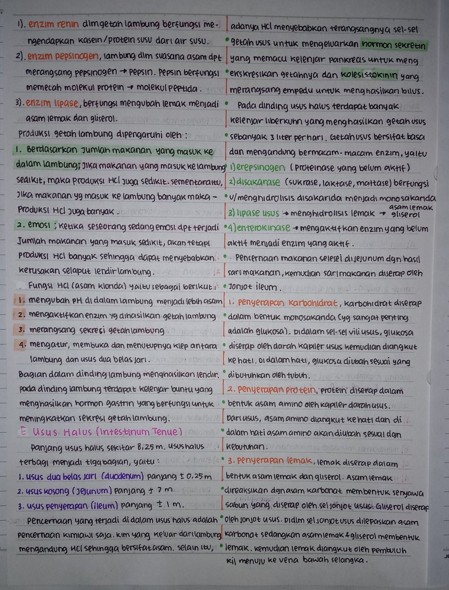 zyxaaalv's tweet photo. ° rangkuman biologi kelas 11 ° 
- sistem pencernaan makanan 🥨 - https://t.co/FiLrl0WeuE