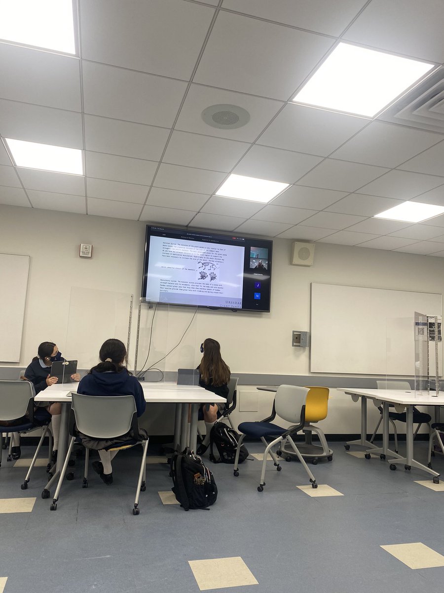 MrsHealeyXHS tweet media