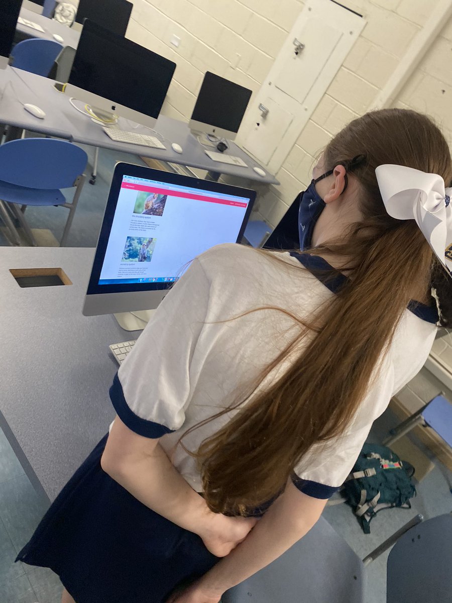 MrsHealeyXHS tweet media