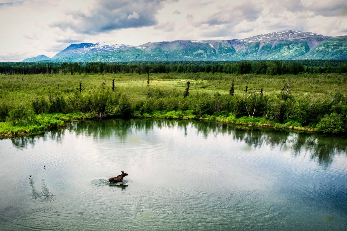 Another peaceful day in Alaska, captured by our friends @withinthewild. #travelalaska #tourismalaska #alaskalodges #alaskalandscapes #alaskawildlife #explorealaska