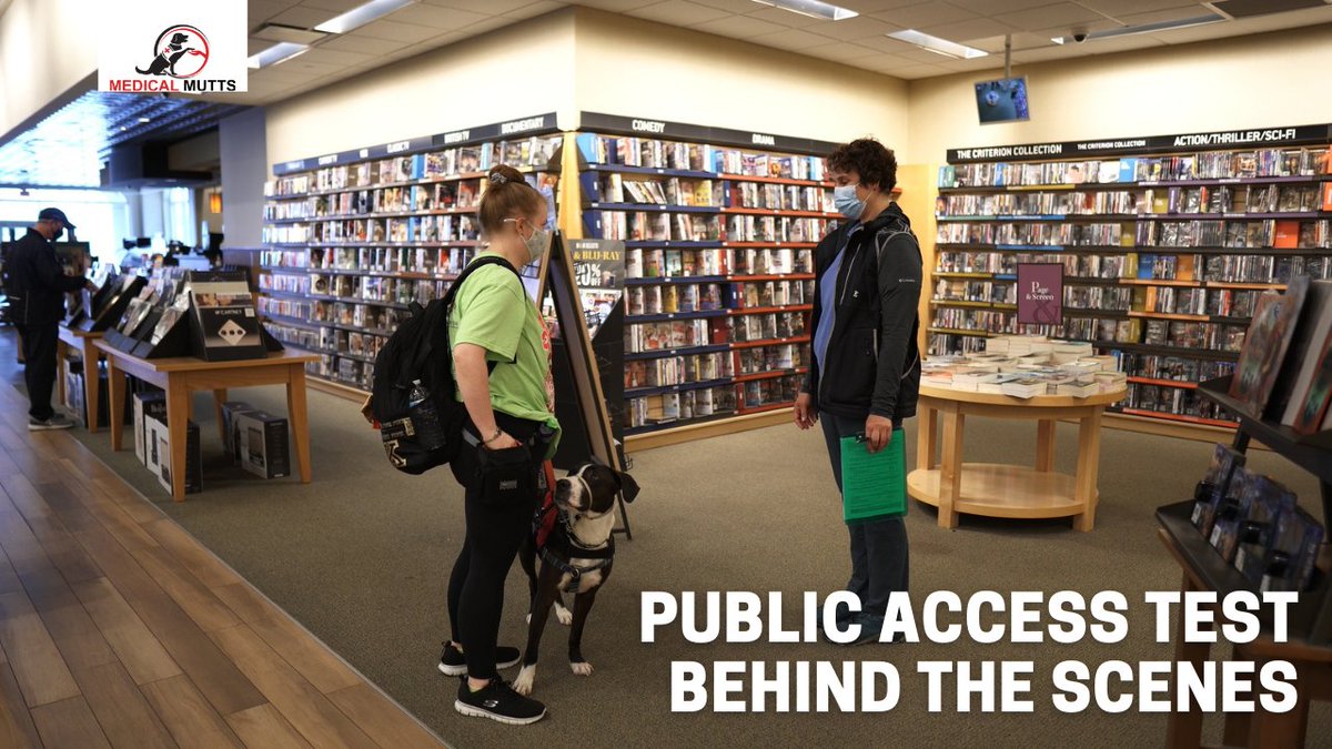 Here's a closer look at what happens during our public access test and some insight as to what it actually takes for our dogs and their owners to get to this point! 

youtu.be/1m45ijHFPy8