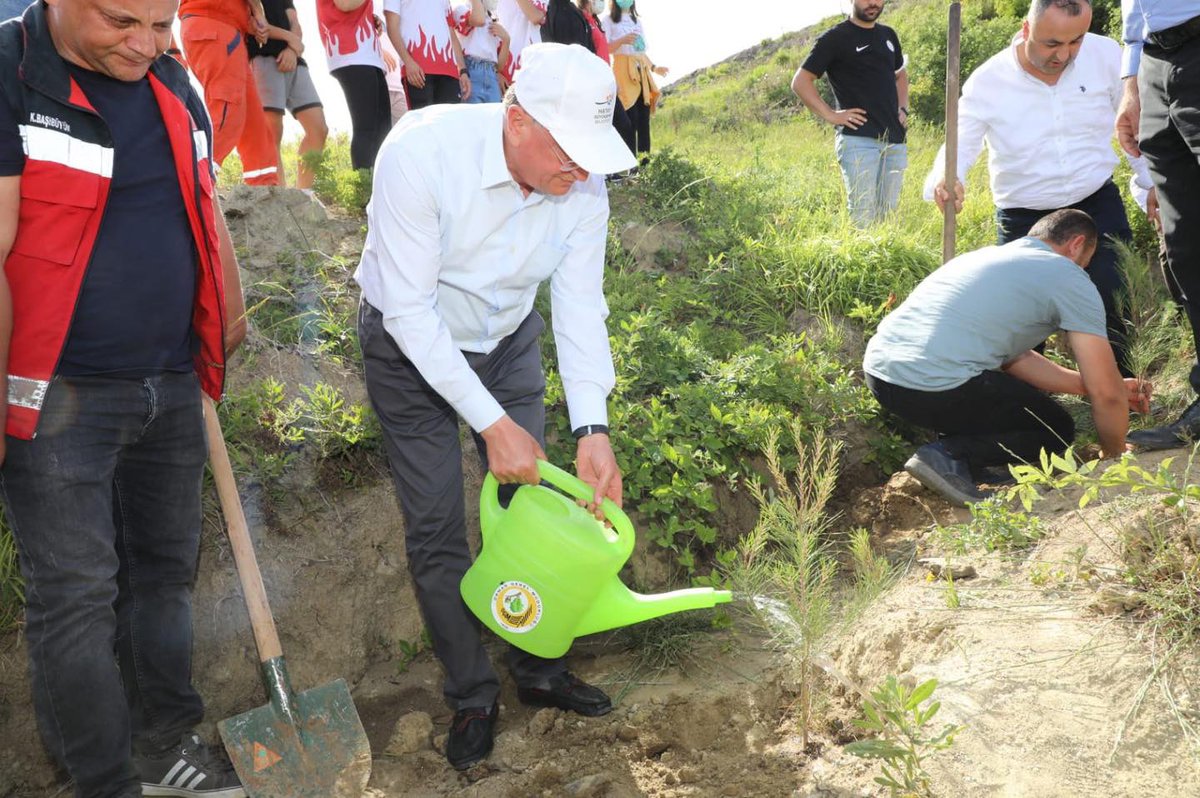 Lütfü Savaş