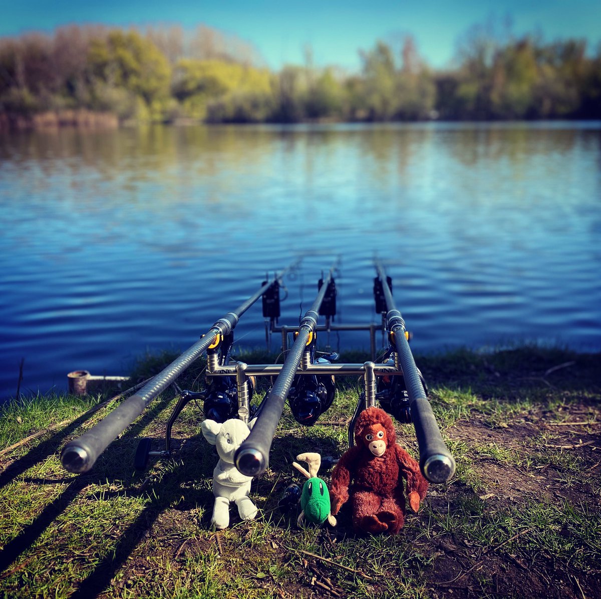 Moved swims between the showers