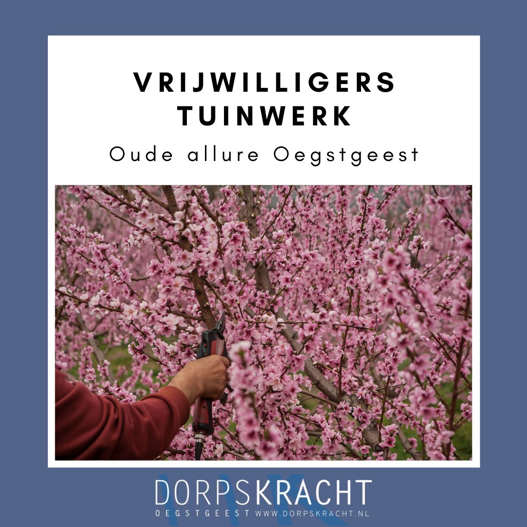 IvonneJanka's tweet photo. Heeft u een liefde voor tuinwerk en vind u het leuk om beukenhaagjes te knippen, rozenperken te onderhouden, planten te verzorgen en snoeien?
Stichting Zuid-Hollandse Landschap zoekt mannen en vrouwen die samen in een leuke vrijwilligersgroep aan de slag willen gaan
#Dorpskracht https://t.co/aUrA6nyHeQ