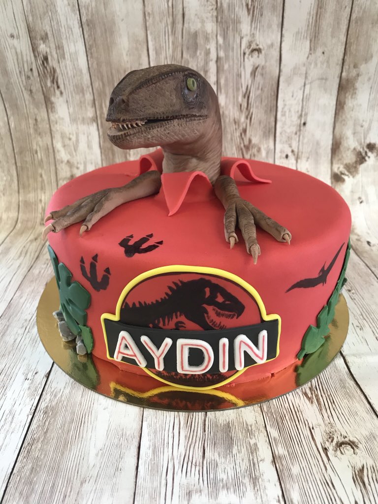 Sol'n cake on X: Gâteau #dinosaure #cakedesign #jurassicpark   / X