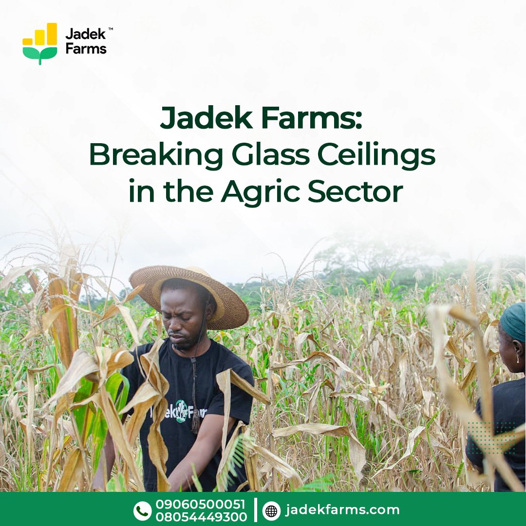 Jadek Farms tweet media