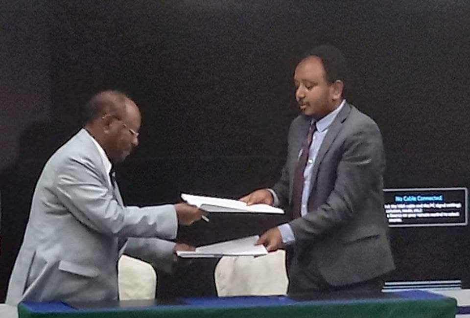 Land of Origins tweet media