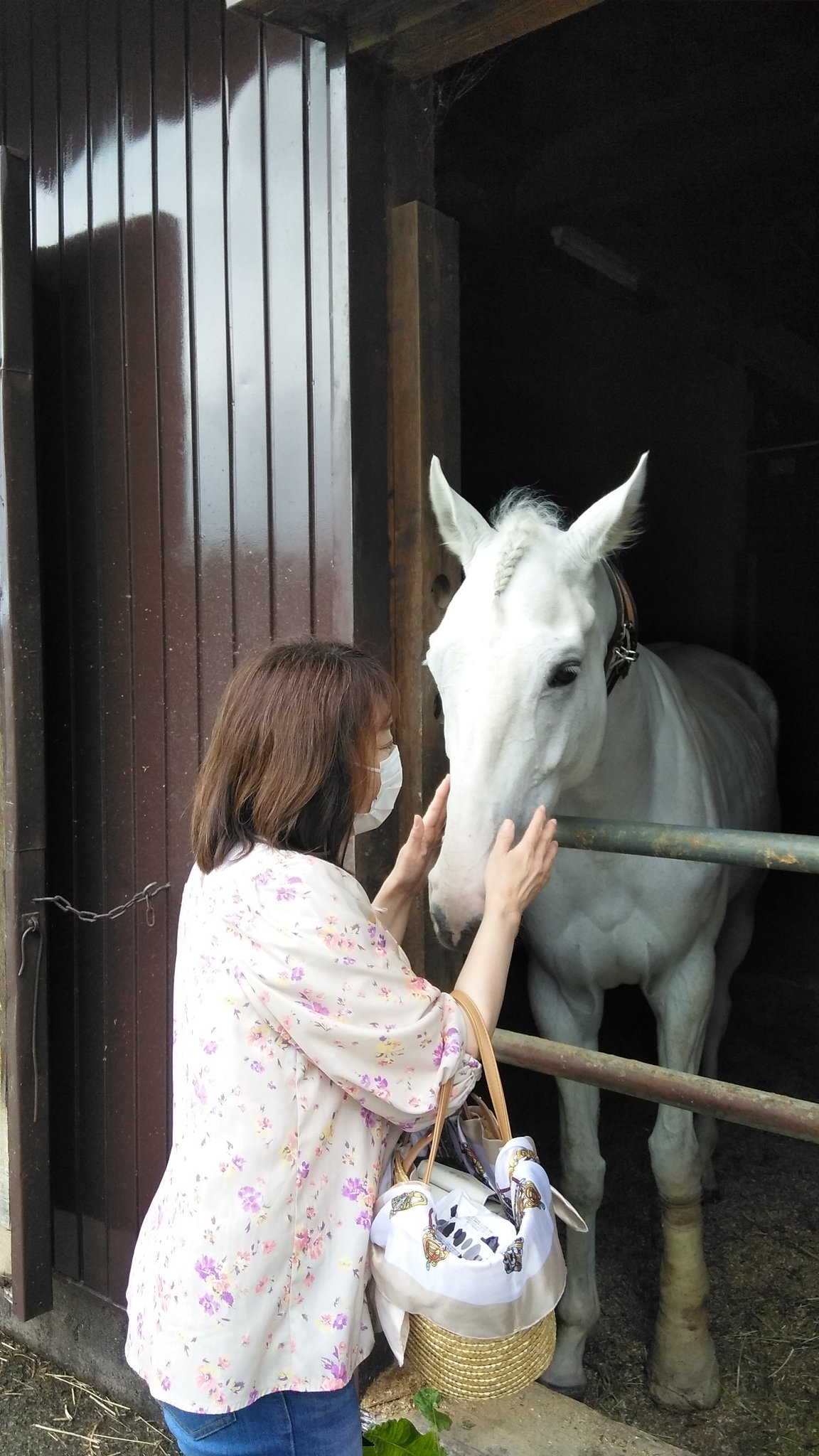 森宮真琴 白いお馬 さん 前の飼い主に大切にされ新たにクラブの仲間になった子 だから初めて会った私にもこんなにフレンドリー 優しい眼差し 三つ編みした前髪 ずっと撫でていたい 心が通じてる きっとね 上山市 ゼンライディングクラブ 馬 森宮