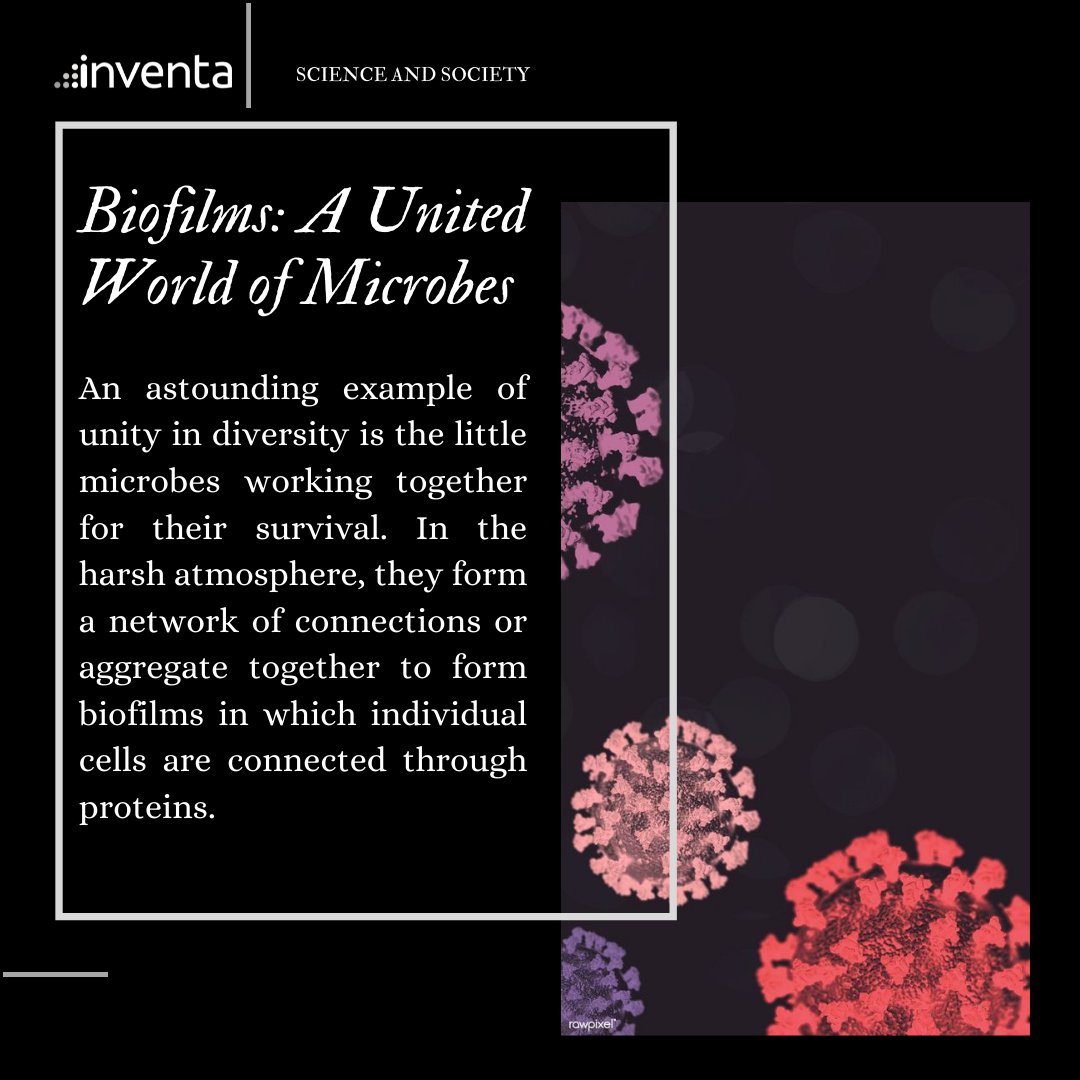 This article explores biofilms as a lesson in the power of unity. We as a human species need to come together and unite, transcending the differences of culture, colour, ethnicities, and economic status as in these biofilms, writes Rashmi Kiran.