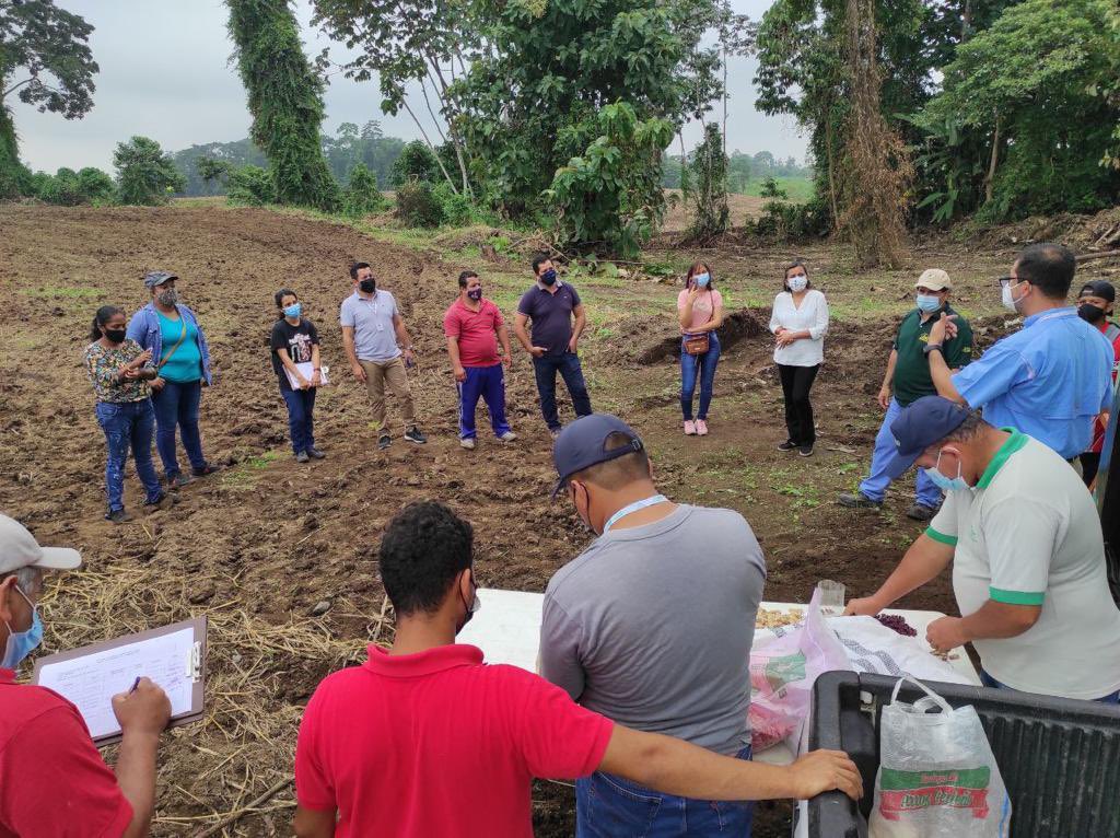 Agricultura_CZ5's tweet photo. El director @LiuDelfini  participó de la Inauguración de la Escuela de Campo de Maíz ECA Maíz INIAP junto a técnicos del MAG,  @AlcaldiaMocache, @GadQuevedo y Promotores sociales de la Asamblea Cantonal de Quevedo, desarrollado en la EET-Pichilingue @INIAPECUADOR #MAGActivado https://t.co/DHpXeV3MdU
