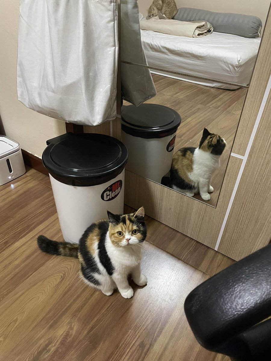 <a href="/jjjmyy/">✿ 𝐣 🍒</a> มุมกล้องค่ะ จริงๆตัวเล้ก