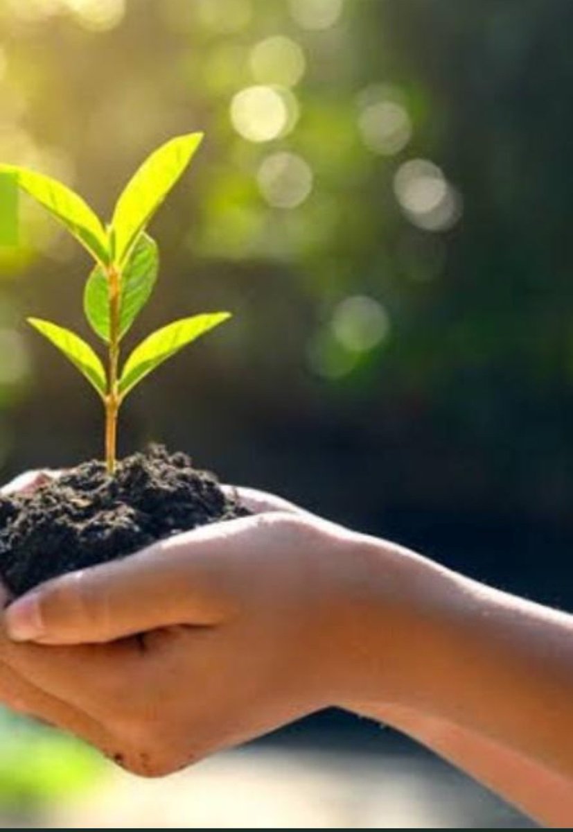 #PlantTrees for future generation they give us oxygen without any fee or charge. They are our good friends so #NurtureTheNature. Trees are also helping in #SaveNature
#tuesdaymotivations