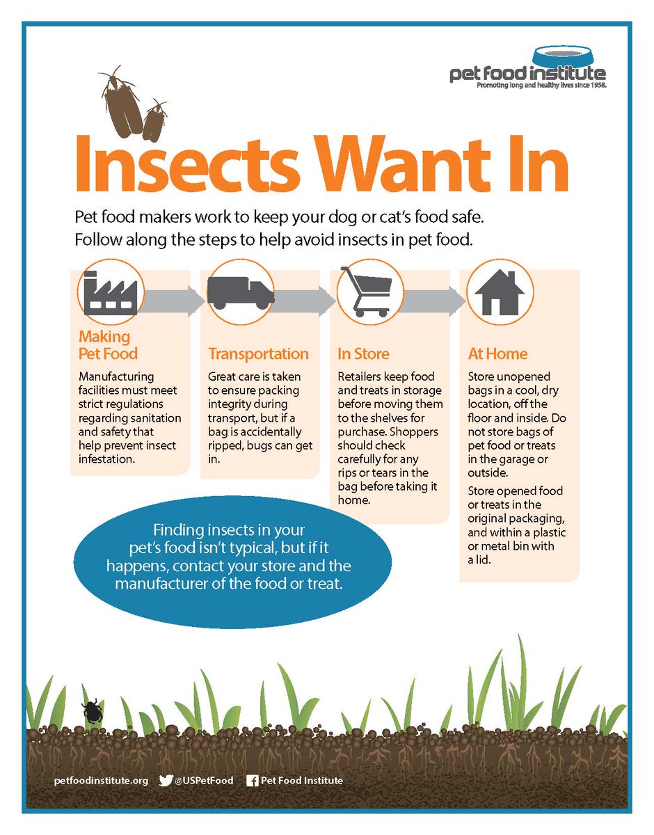 uspetfood's tweet image. #Dogs and #cats aren’t the only ones trying to sneak into the #petfood bag! Here is how to keep unwanted insects out of #petfood containers this spring. 🐜 bit.ly/2RSSAkY #foodsafety