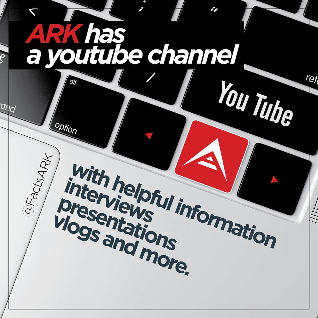 Arktoshi 🥷 tweet media