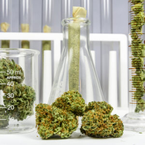 Most people view cannabis testing as a cost-inflating necessary evil required to satisfy regulatory demands.  Nucleus One's Jacques Santucci and Nick Des Lauriers see the opposite. #cannabis #medicalmarijuana #cannabistesting #qualitycontrol ow.ly/aRMQ50EUVQD