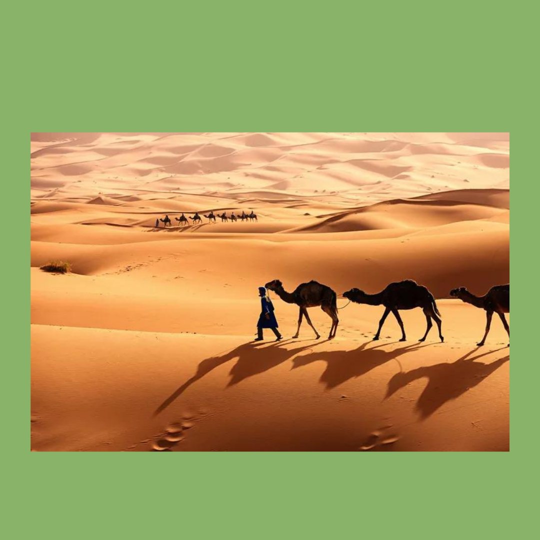4. THE WORLD’S LARGEST HOTTEST DESERT IS IN AFRICA
The Sahara is the world’s largest hot desert and one of the harshest environments on the planet. It is the third-largest desert overall after Antarctica and the Arctic, which are cold deserts.

#AfricaDay 
#Africa