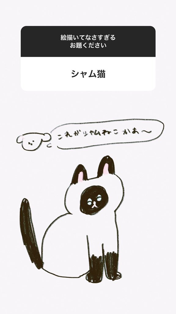 🐕🐈 