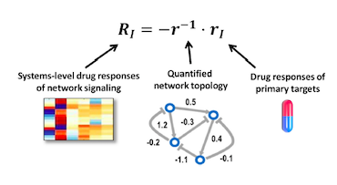 sysbioire's tweet photo. More information on the exciting new paper from Kholodenko et al - find out how the researchers used systems biology to address drug resistance in cancer cells. #cancer #drugresistance #signalingnetworks #targetedtherapy #feedbackloops
https://t.co/nLG33ano5M https://t.co/sDplJVKQvp