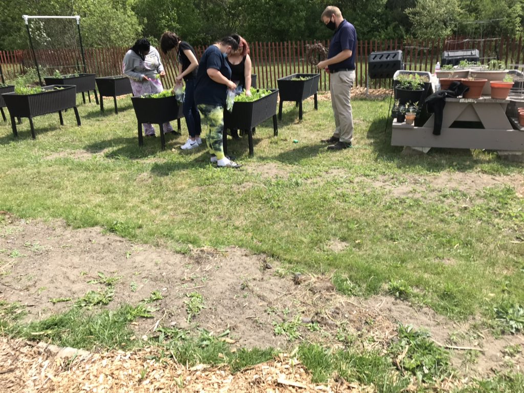VLAofSCC's tweet photo. Student garden harvest at the VLA. https://t.co/SZT4ipC9ws