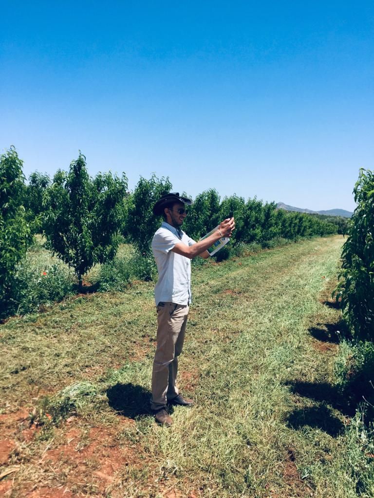 AtlasHigh's tweet photo. #Tree_monitoring is continuing in the Fez-Meknes region with #Association Beni Yazgha, located in El Menzel. A mobile application helps the #HAF team collect #data to report on #tree_growth and survival rates.
#Empower #farming_families in #Morocco https://t.co/a7pH9tWyY7 https://t.co/qfa5rXPRrm