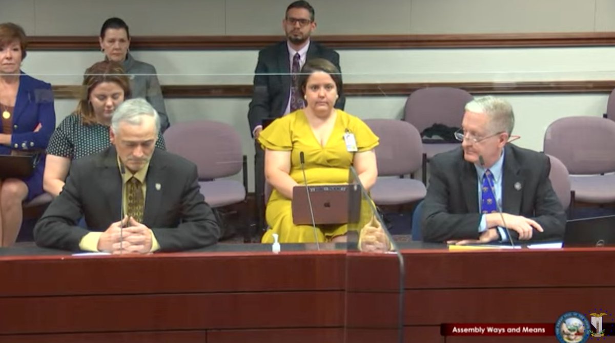 BattleBornProg's tweet photo. Our face when @SettelmeyerNV and @Pickard4Nevada are here to ask for their $1 fee back. Are they saying they'll sue again if #AB488 passes? #nvleg https://t.co/E5p4DTMbno