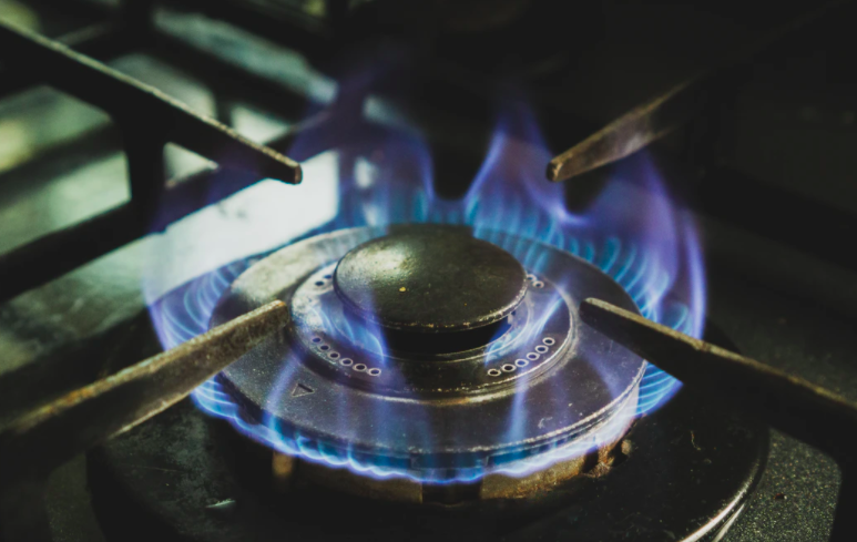 renocollective tweet media