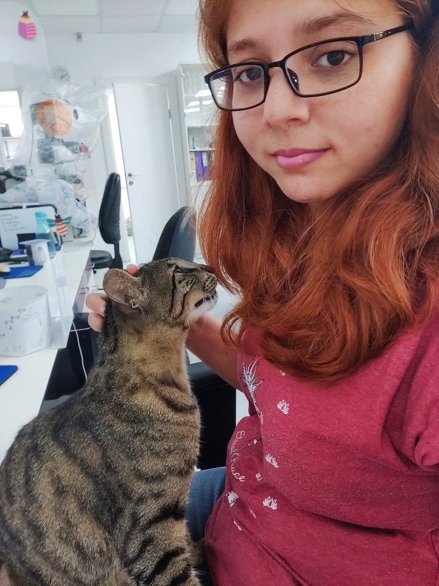 PolOnPathogens's tweet photo. Trying to write.. But she wants me to pet her and just keep petting. 😅 🙀#cats #catsofisrael #catsinthelab https://t.co/yaOLYx31CN