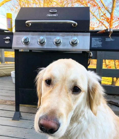 Dyna-Glo tweet media