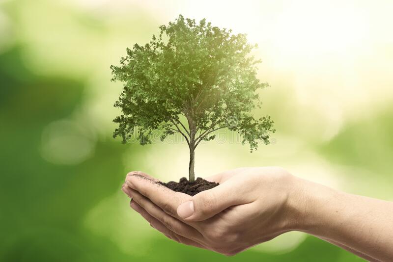 #DeraSachaSauda
#NurtureTheNature
#NatureCampaign
#MyDutyForNature
#SaintDrMSG
#SaintDrGurmeetRamRahimJi
#BabaRamRahim
Saint Dr. Gurmeet Ram Rahim Singh Ji Insan suggests, everyone should #PlantTrees to #SaveNature .The trees we plant shall serve whole humanity for a long time.