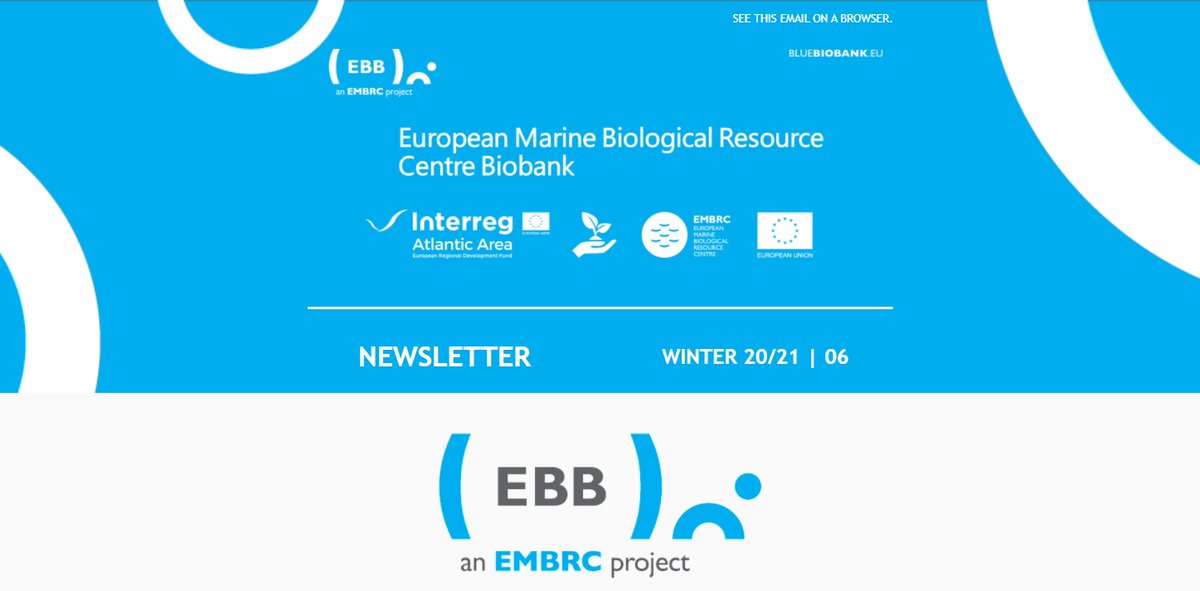 EBB Newsletter 07 | Spring edition - mailchi.mp/1e5068850d64/e…