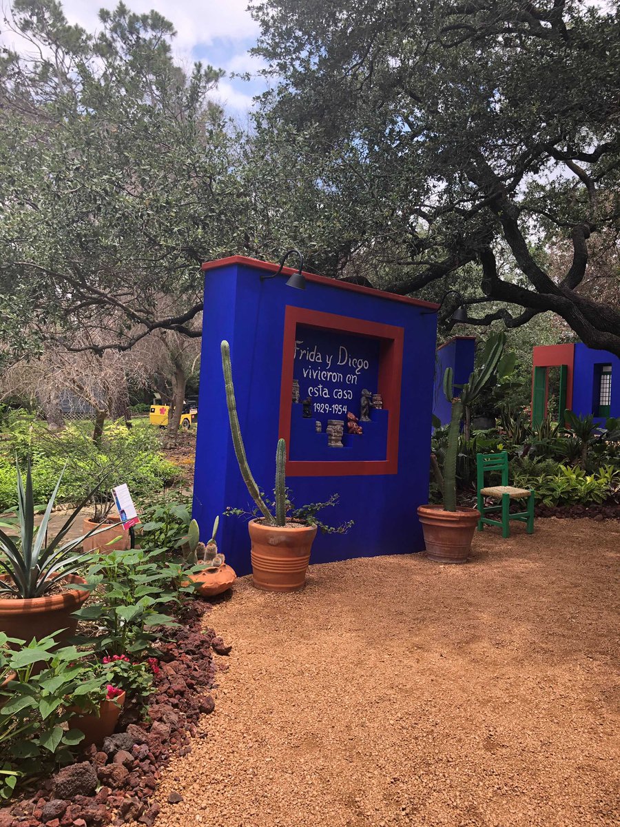 SA2020's tweet photo. When the rain cleared last Friday (for that hot minute), @arianeetemadi got an up-close look at @sabotgarden’s Frida Khalo Oasis. Open ‘til November and pretty sprawling, you should check it out! #SATX #FridaKhalo #SA2020Partner https://t.co/ck257C904w