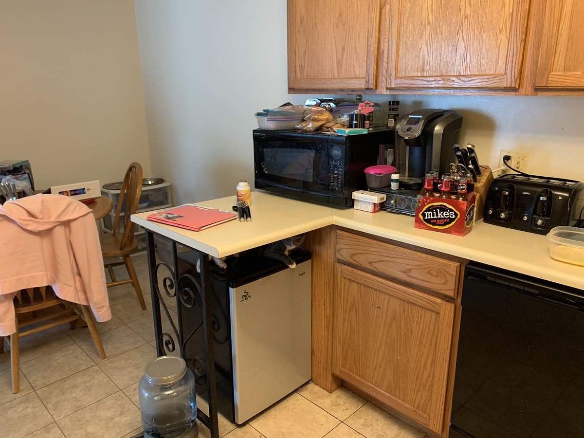 S13RRAF0X's tweet image. There is a kitty hiding in this photo if you find her do not say where she is just post to see her @StreamerNet @showhe @RedPelican5 @PowerRaccoon13 @acidbrn121