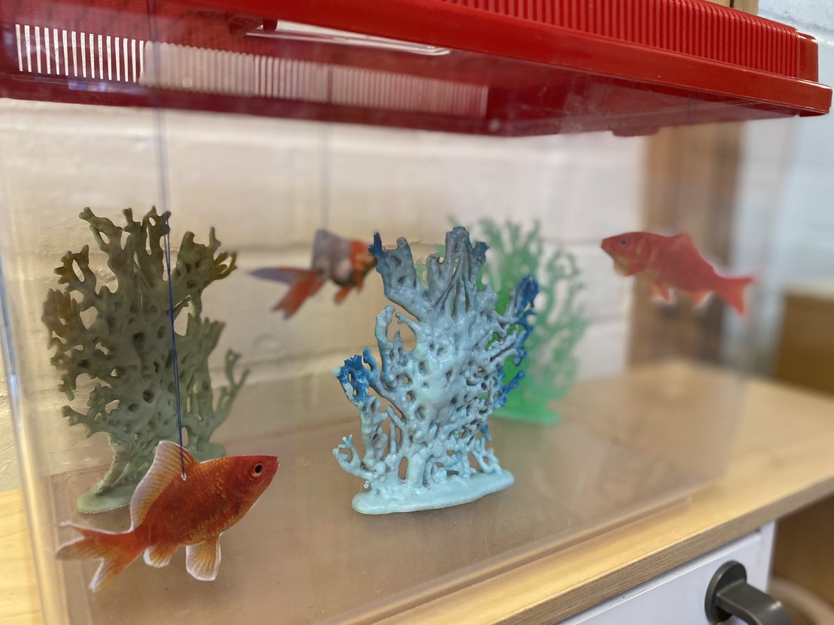 88Tor's tweet photo. Our “class fish” in our home corner #eyfs #eyfstwittertagteam #earlyyears https://t.co/E0uDgrYiFQ