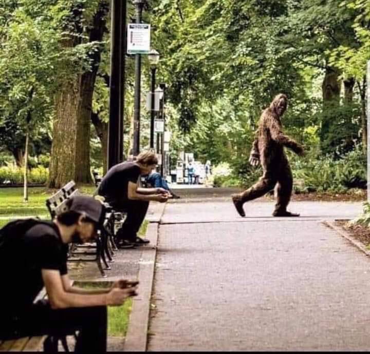 conspiracybot (@conspiracyb0t) on Twitter photo 