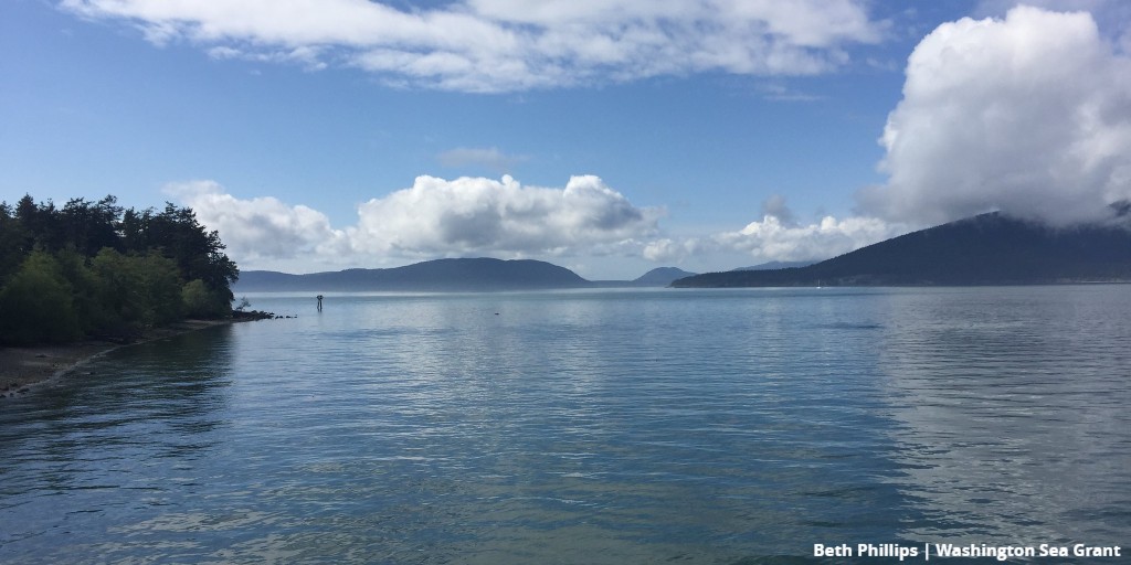 SeaGrant's tweet photo. Safe #boating also means keeping waters #safe and clean. @WASeaGrantโs Pumpout Washington educates boaters about the importance of proper sewage disposal and informs them about where to find #pumpout stations: https://t.co/v1TRjRtZ6h #NationalSafeBoatingWeek #SGSafetyFirst https://t.co/DPgiBkf1Z6