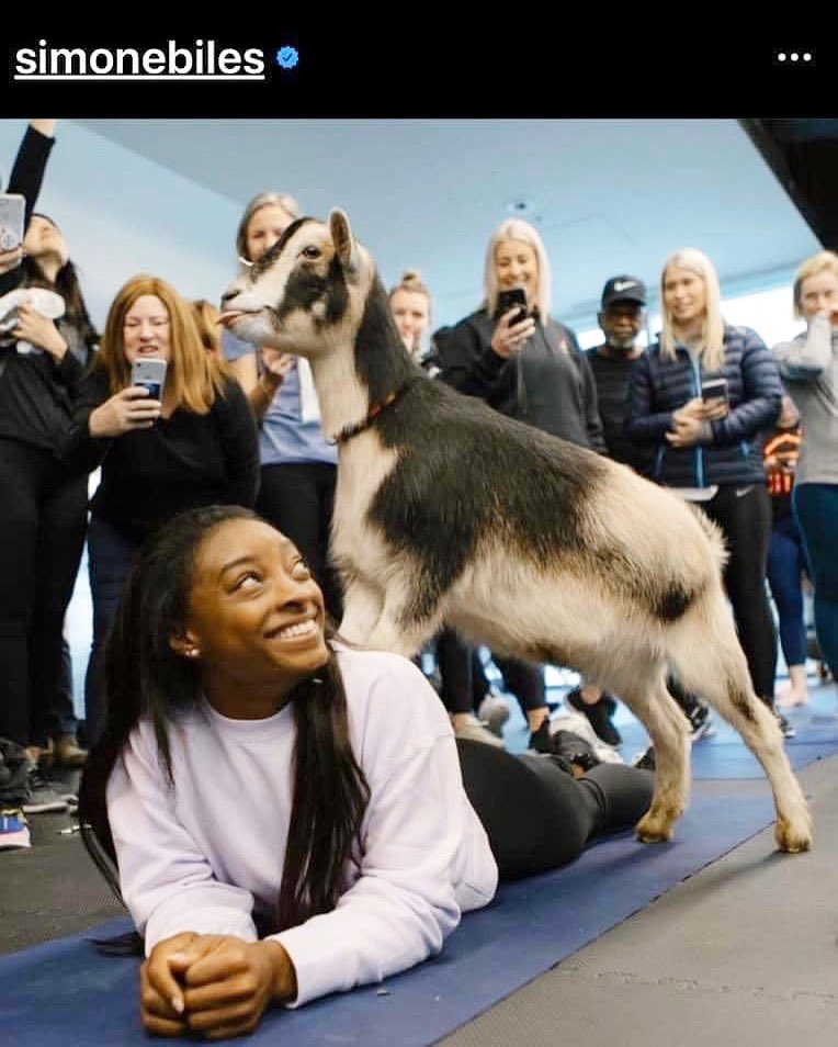 GoatYogaOregon's tweet photo. In honor of the GOAT @Simone_Biles! 🐐We had so much fun having our goats meet the goat thanks to one of our favorite clients @nike  

https://t.co/xNIL4nkl4m https://t.co/PnjGybeePH