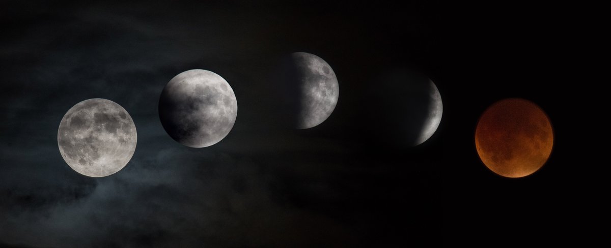 We have a different type of trivia Tuesday question today—do you know when the last total lunar eclipse was? 🌑✨

Comment with your guess and check back tomorrow for the answer!

📷: NASA/Rami Daud