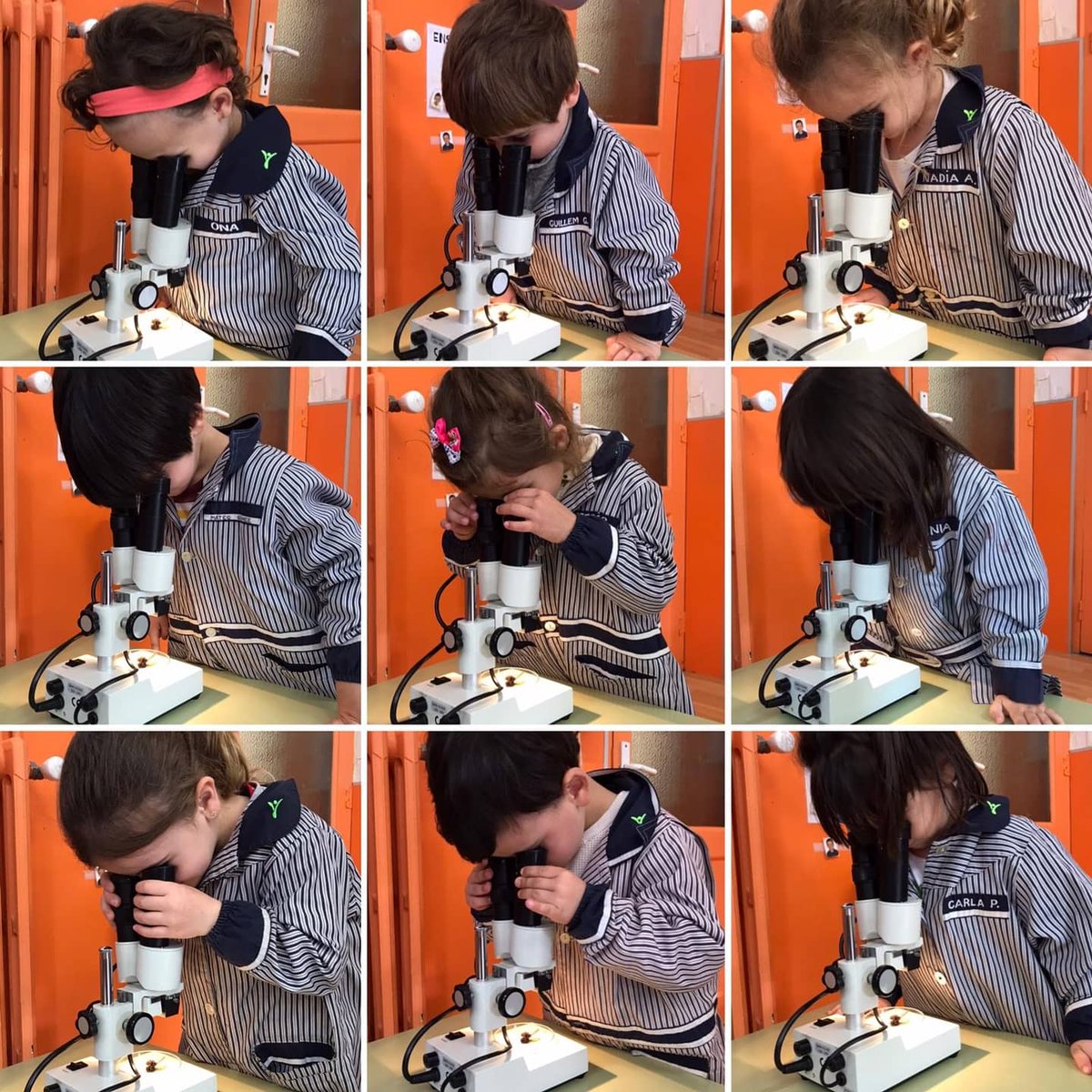 epiasabadell's tweet photo. A P3 ENS VISITA UNA ABELLA
La Marta, una mestra de l’escola, ens ha portat una abella perquè la poguéssim observar :hem pogut observar-ne les ales, la cara i el fibló amb la lupa binocular. Ens ha encantat!
#P3PIASABADELL
#INFANTILPIASABADELLL https://t.co/slkUaGddaS