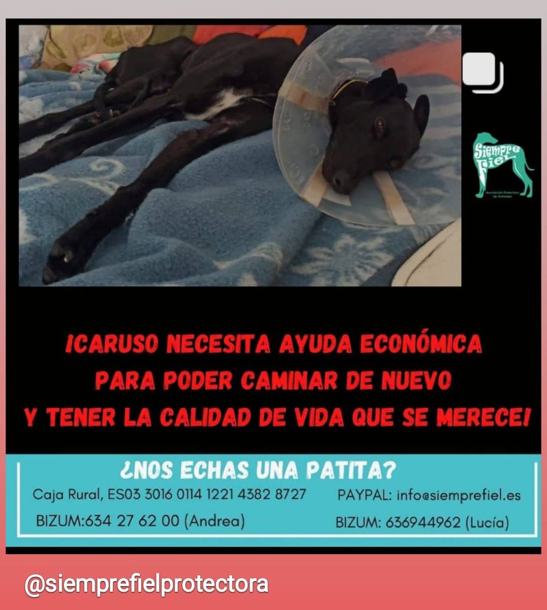 Paula_Jimenez9's tweet photo. 🗣️🗣️🗣️🗣️🗣️🗣️🗣️🗣️🗣️ https://t.co/1QbuQrjGVW