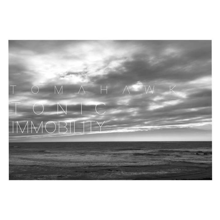 Buzzy Band tweet media